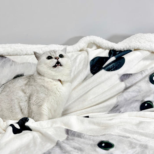 A white cat sitting on a personalized custom blanket featuring its portrait, crafted with a soft flannel exterior and sherpa fleece interior