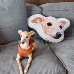 Custom dog portrait shaped pillow featuring a dog with a orange shirt, in a home setting with the pet’s face on the pillow