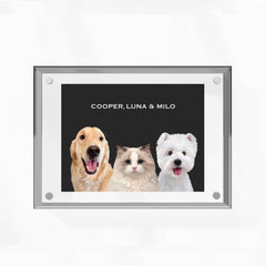 High-quality custom pet portrait in a premium acrylic frame with a unique, modern design by MusaMonster. Perfect for displaying your pet’s likeness in style.