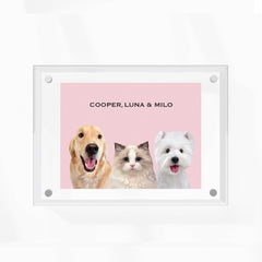 High-quality custom pet portrait in a premium acrylic frame with a unique, modern design by MusaMonster. Perfect for displaying your pet’s likeness in style.